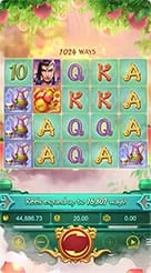 PH365 · Lgd Monkey Kg